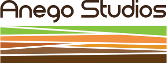 Anego studios logo
